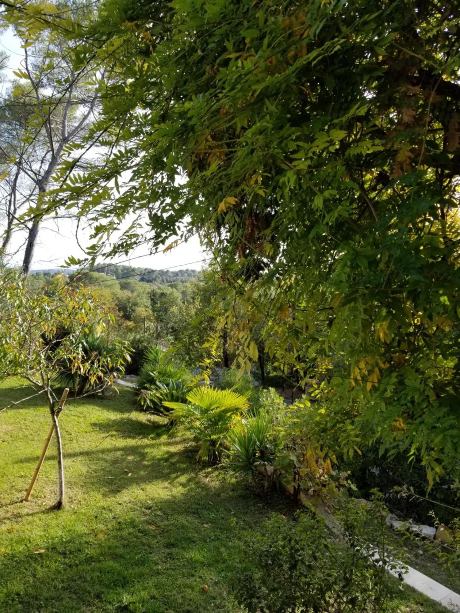 罗科福尔雷潘O Tilia D'Azur住宿加早餐旅馆 外观 照片